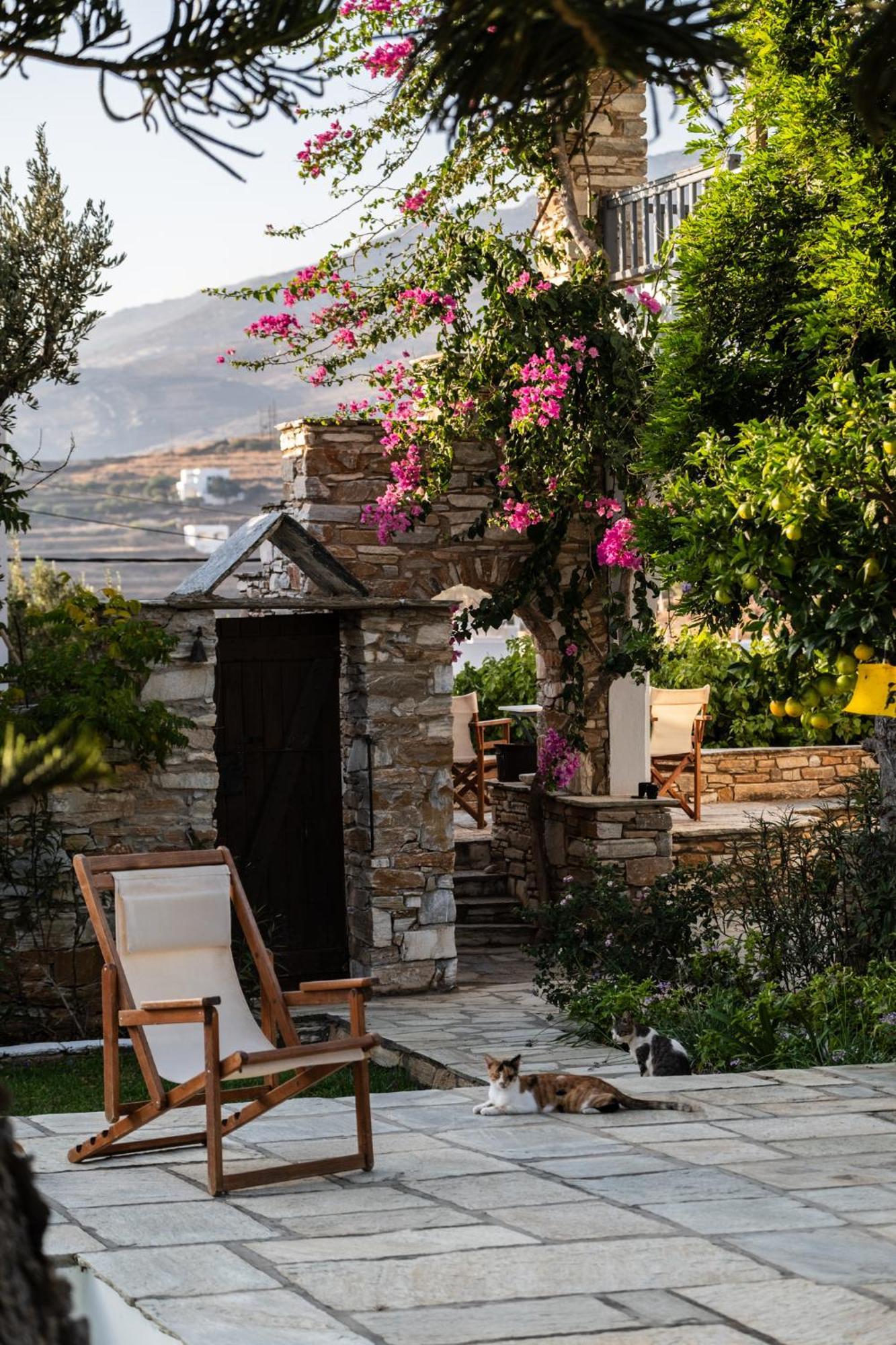 Romano Garden House - Land Tales Agios Romanos Exterior photo
