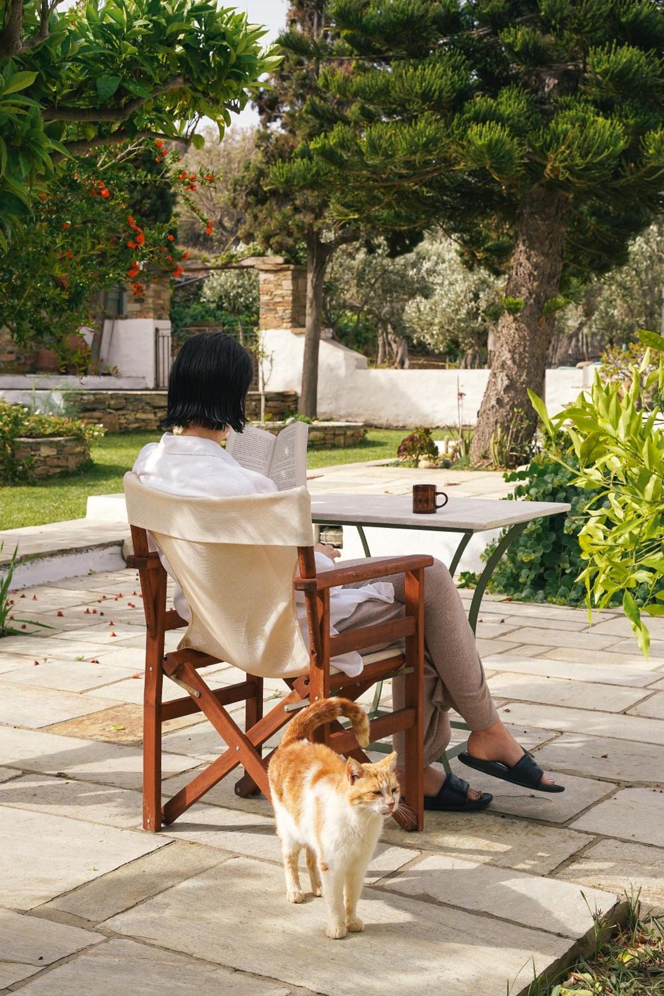 Romano Garden House - Land Tales Agios Romanos Exterior photo